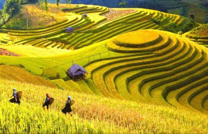 Hong Minh Guesthouse Mu Cang Chai ภายนอก รูปภาพ